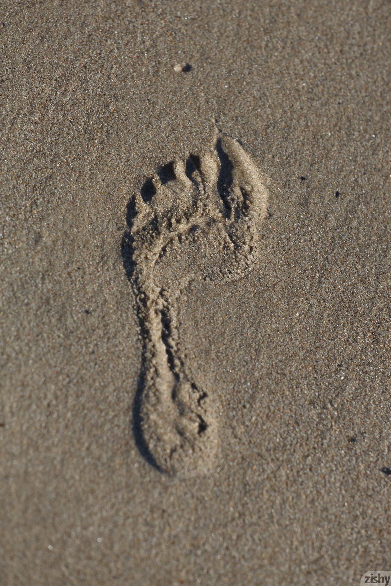 Sloan Kendricks Tres Cool 5