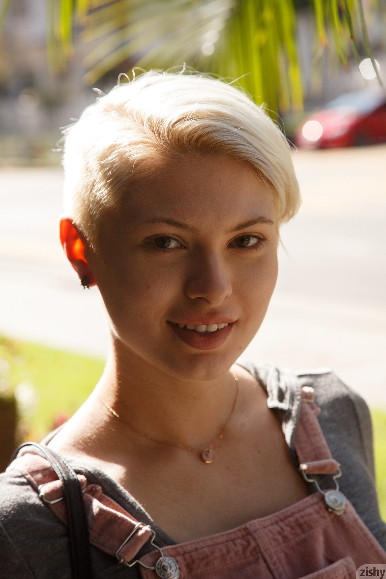 Zishy: Sage Hailong Hollywood Connection 2