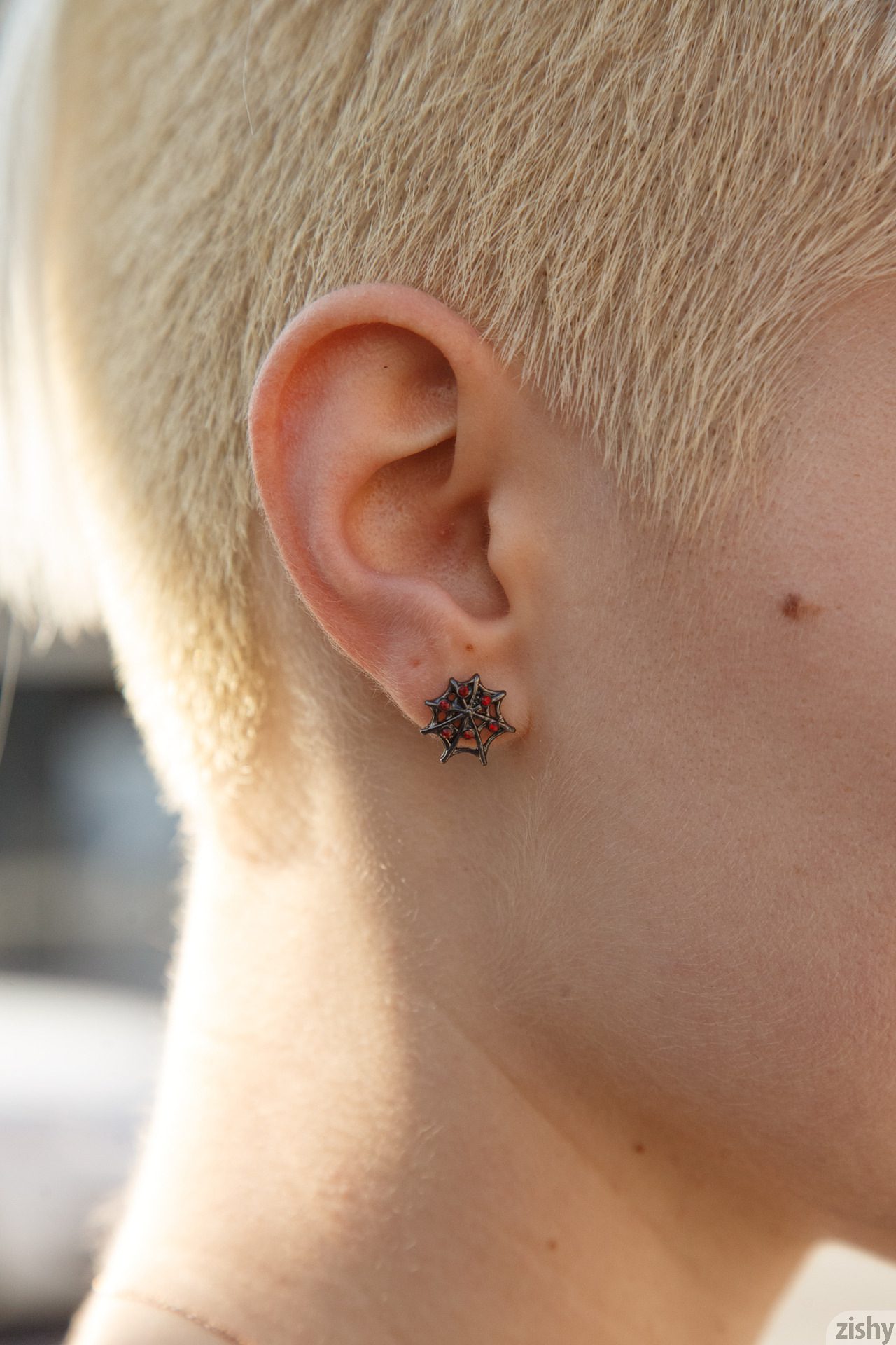 Zishy: Sage Hailong Hollywood Connection 5