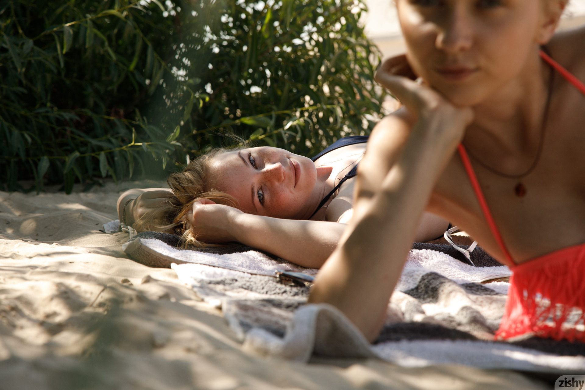 Rune and Bernie Sunny Bunnies II - Zishy 49