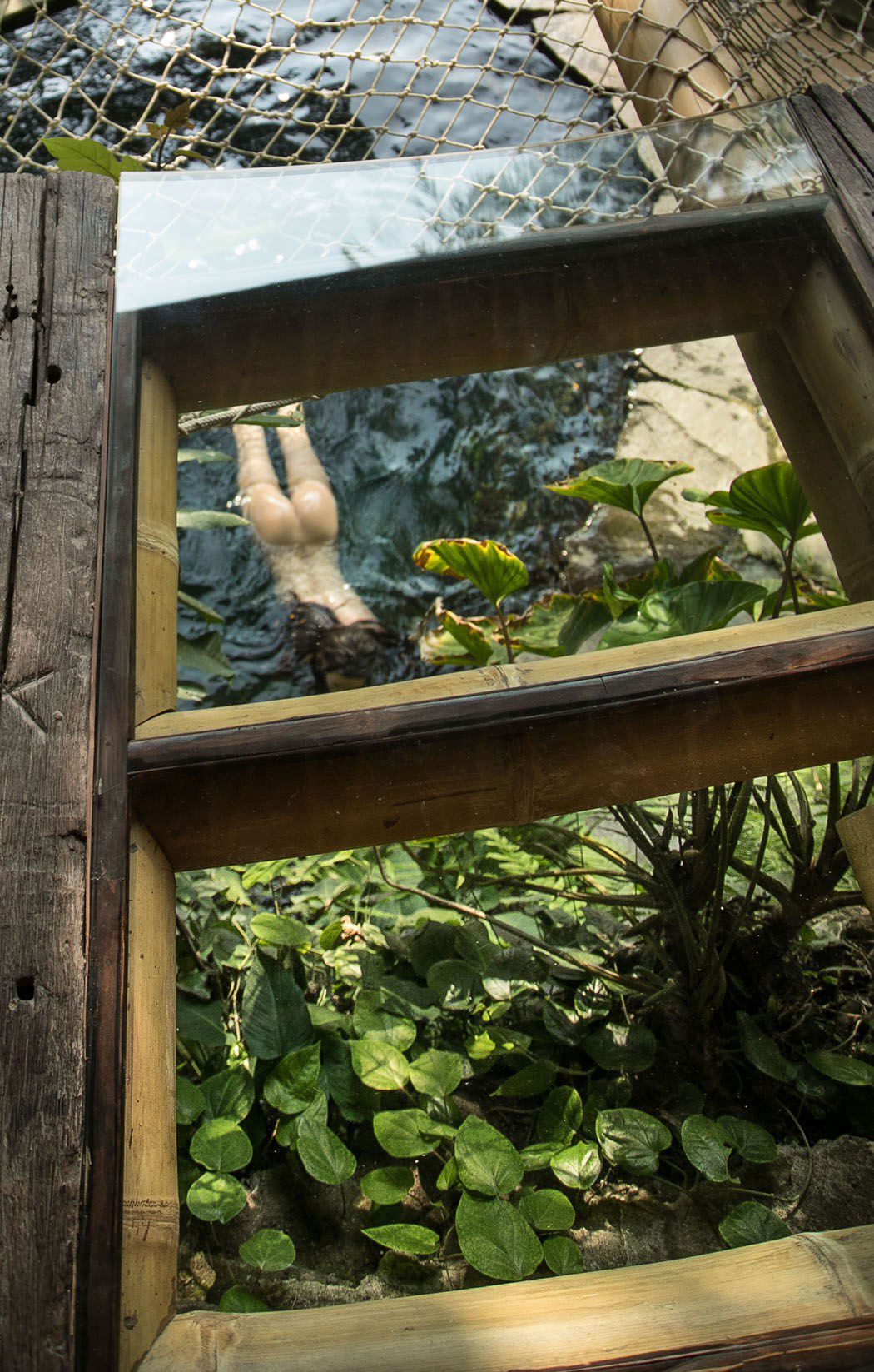 Amber Flowers Thefappening Nude (55 Photos) #the Fappening048