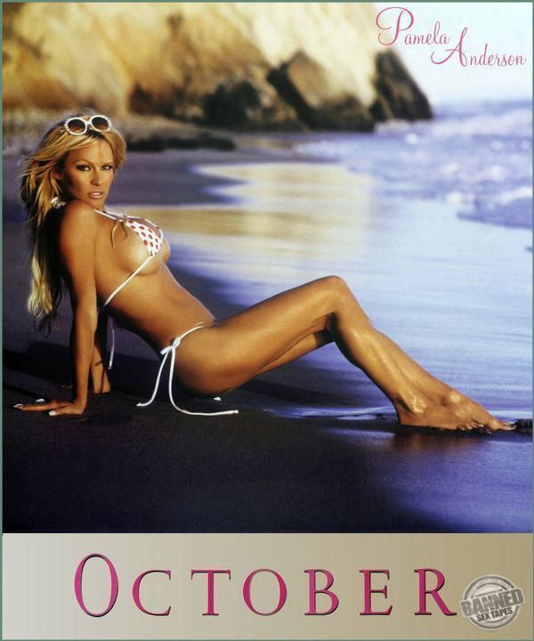 Pamela Anderson Sex Tape, Scandal Comics, Nude Pics 119