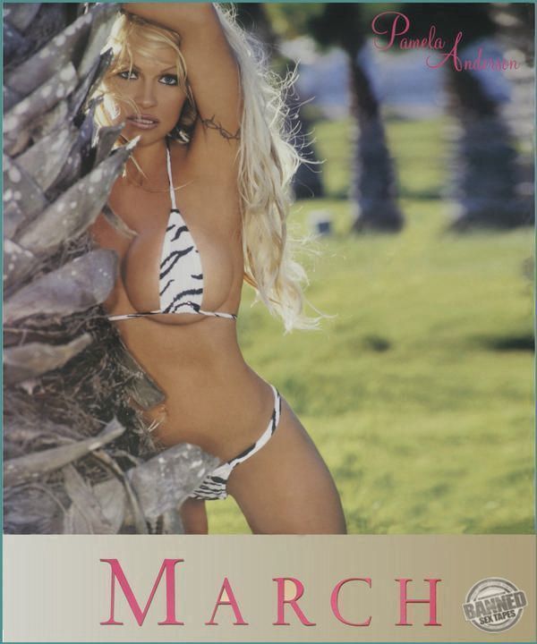 Pamela Anderson Sex Tape, Scandal Comics, Nude Pics 120