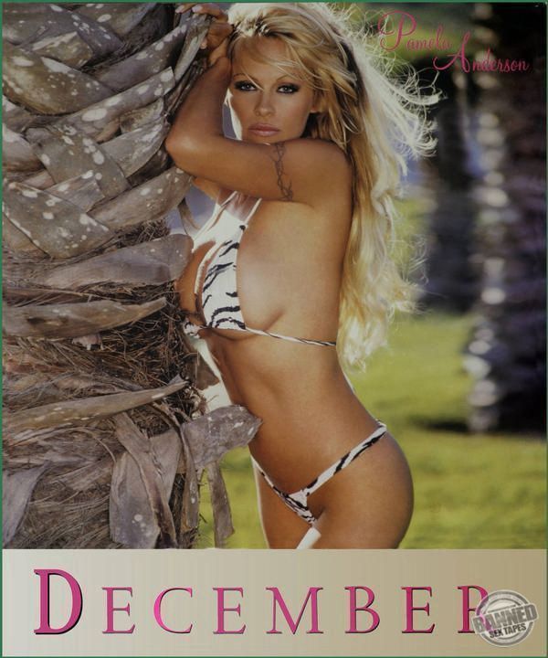 Pamela Anderson Sex Tape, Scandal Comics, Nude Pics 121