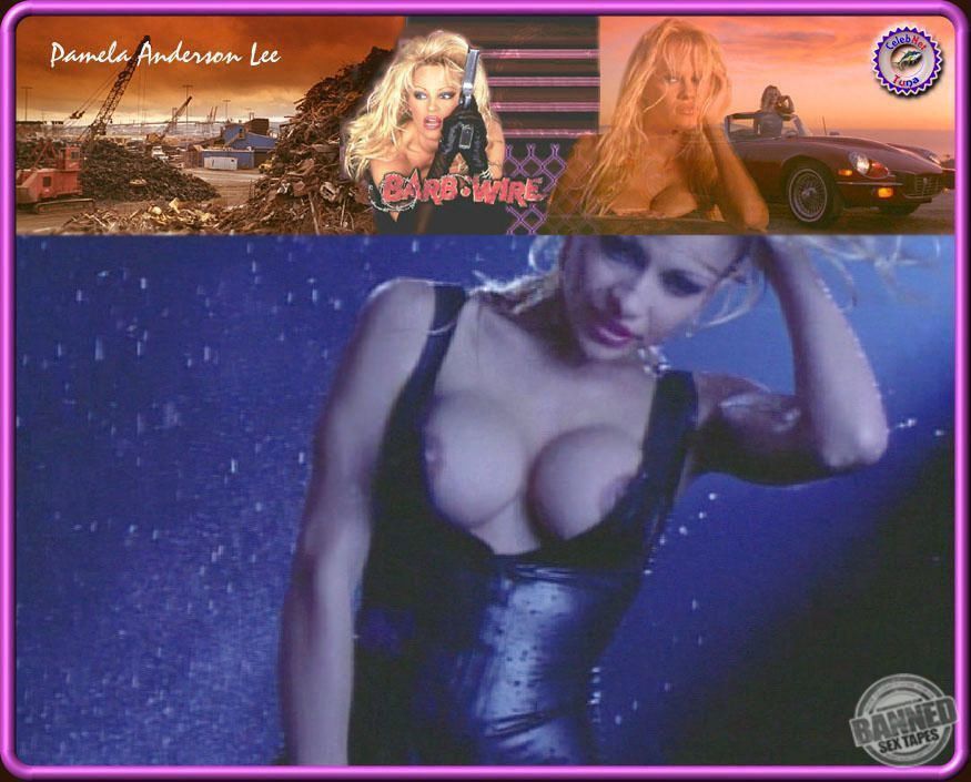 Pamela Anderson Sex Tape, Scandal Comics, Nude Pics 175