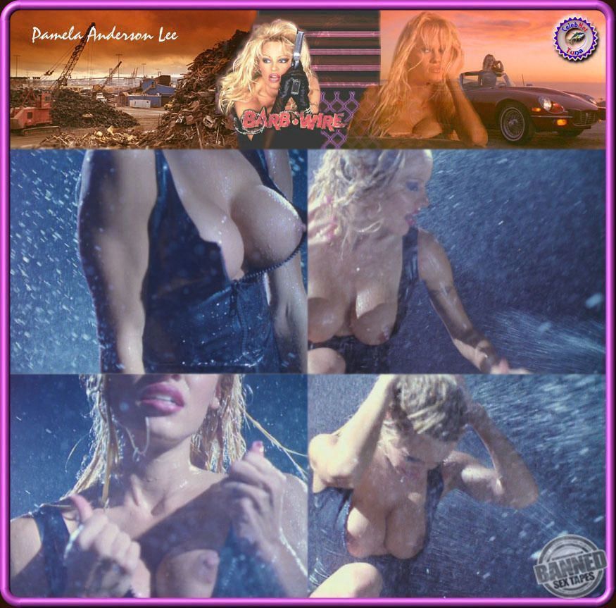 Pamela Anderson Sex Tape, Scandal Comics, Nude Pics 184