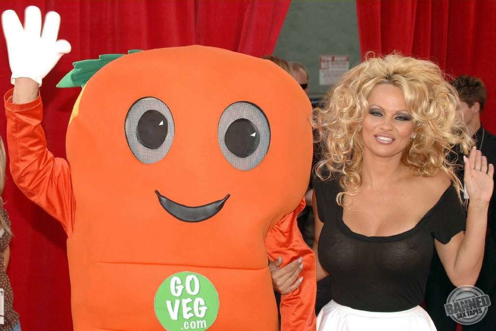 Pamela Anderson Sex Tape, Scandal Comics, Nude Pics 194