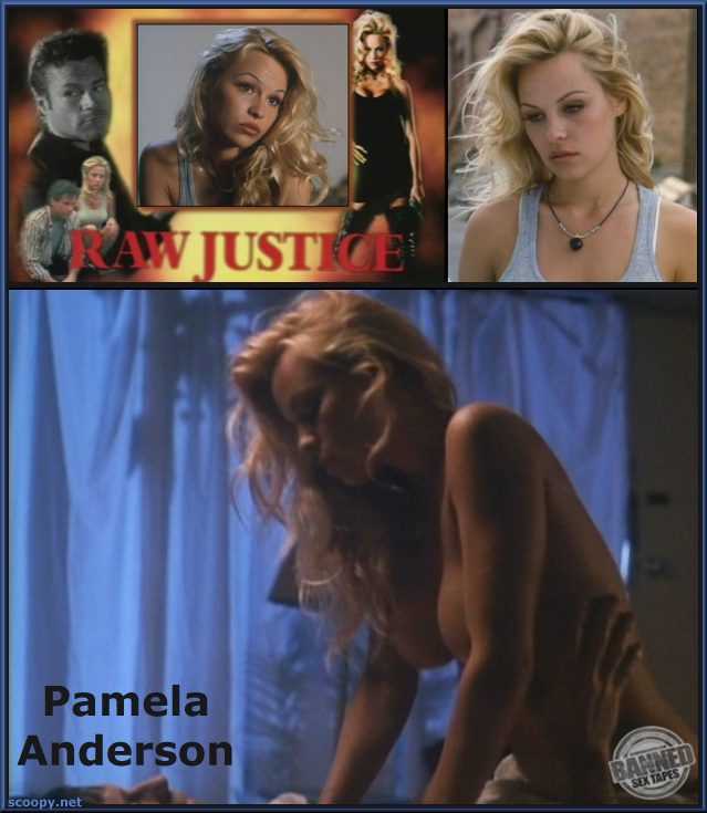 Pamela Anderson Sex Tape, Scandal Comics, Nude Pics 061