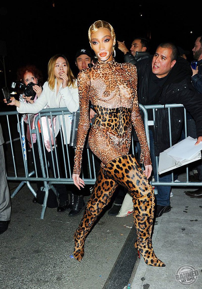Winnie Harlow See Through Photos 051