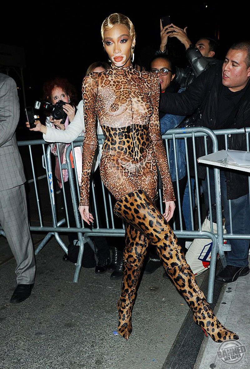 Winnie Harlow See Through Photos 052