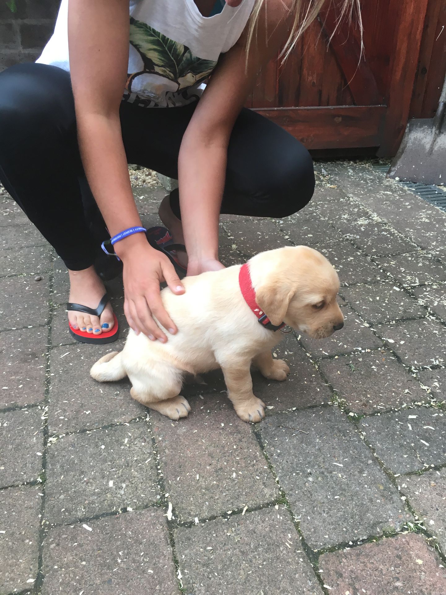 Danni Wyatt Nude Leaked Fappening (137 Photos + Videos) #thefappening129