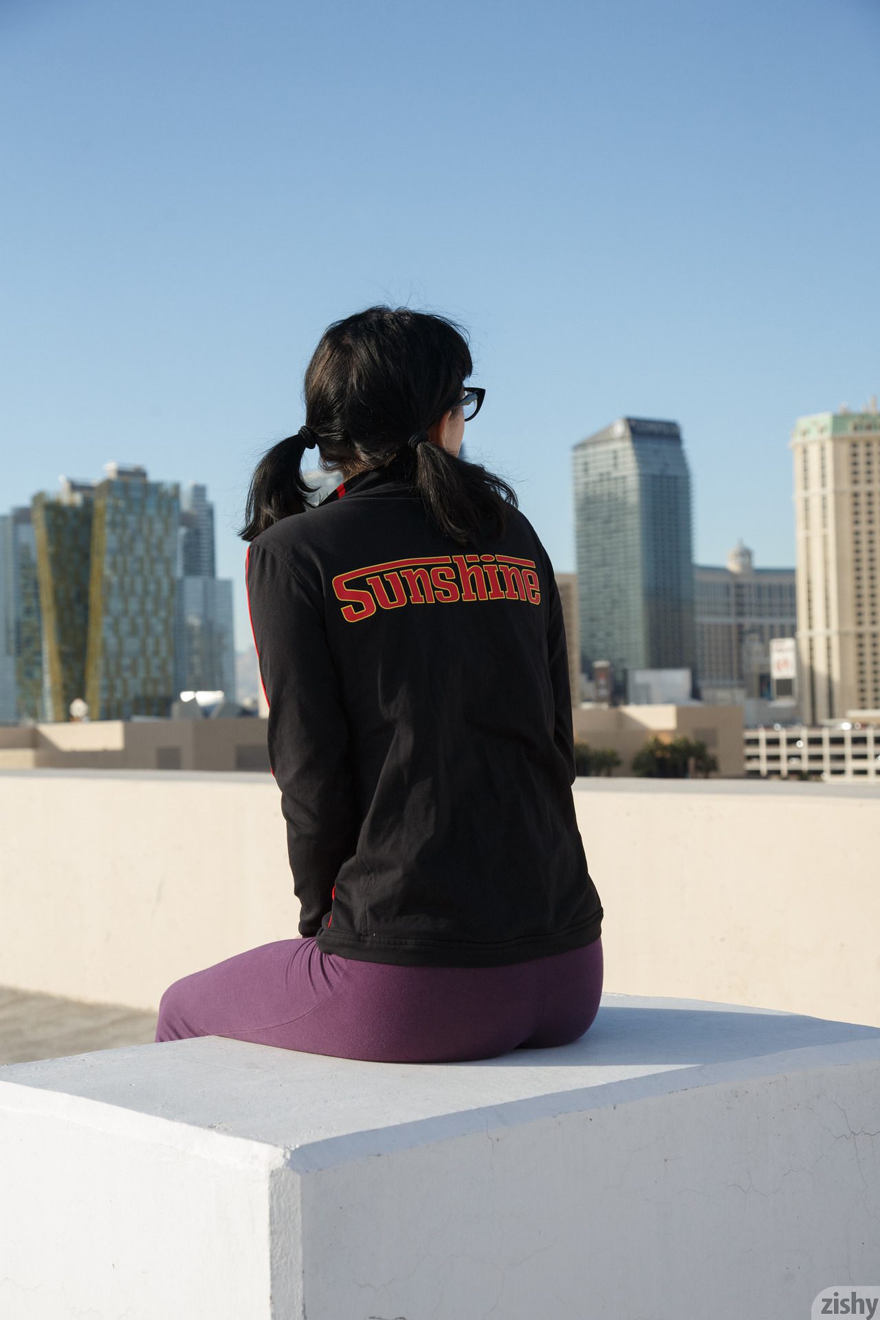 Paisley Osiris Vegas Or Bust Zishy (14)