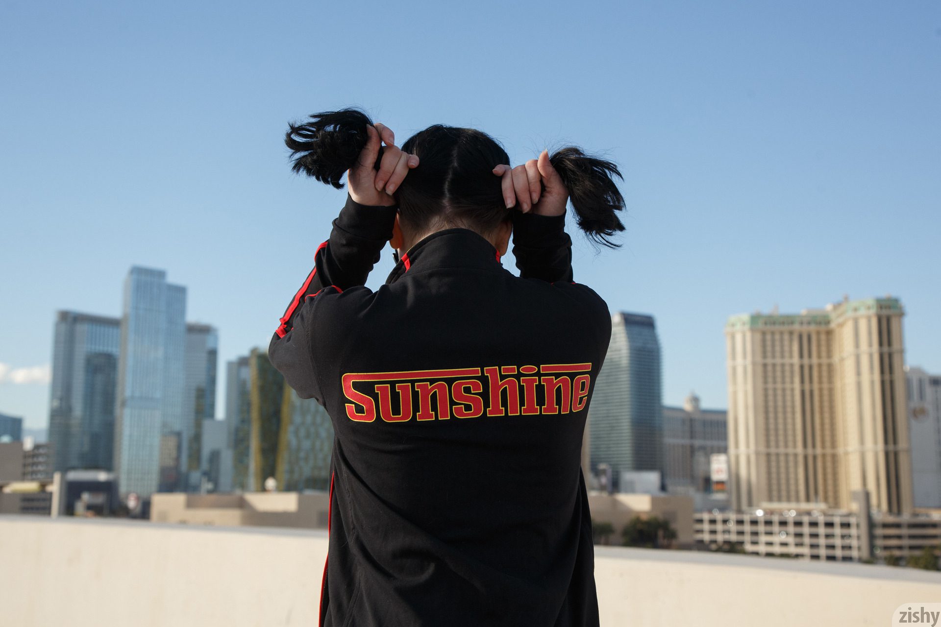 Paisley Osiris Vegas Or Bust Zishy (15)