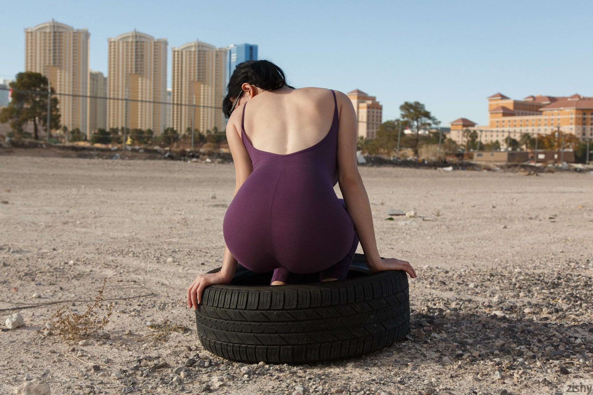 Paisley Osiris Vegas Or Bust Zishy (4)