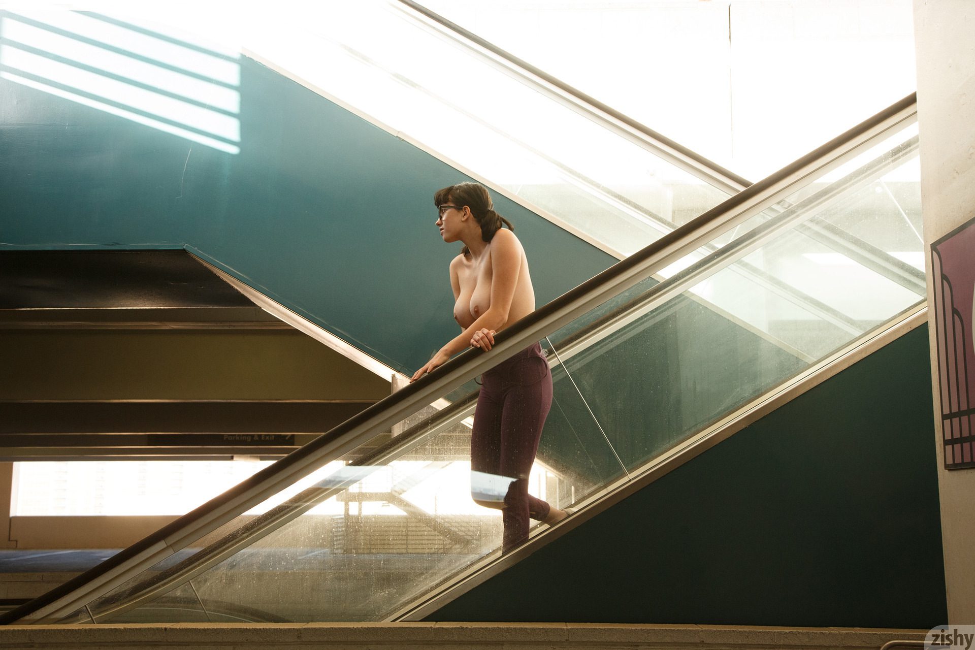 Paisley Osiris Vegas Or Bust Zishy (44)