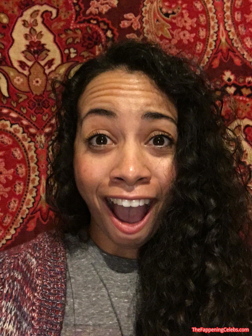 Shani Hamilton Sexy Nude Thefappening 2019 Leaks 019