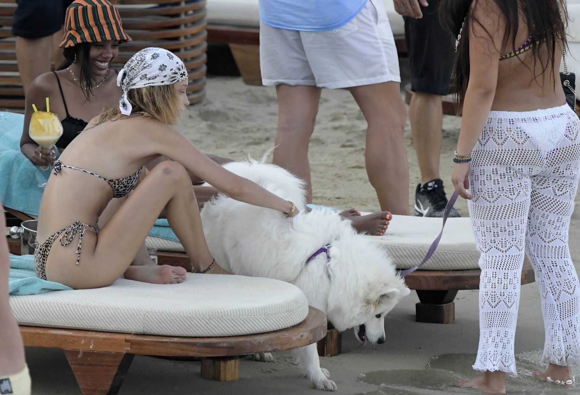 Bella Hadid, Gigi Hadid, Alana Hadid Sexy 126