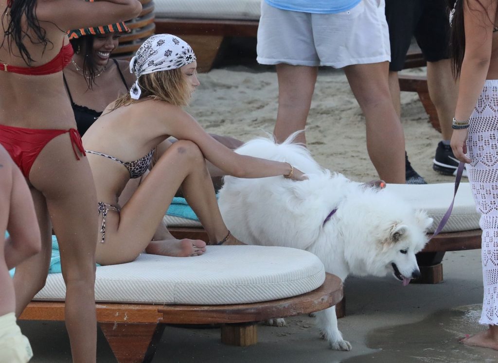 Gigi Hadid, Bella Hadid, Alana Hadid Sexy 079