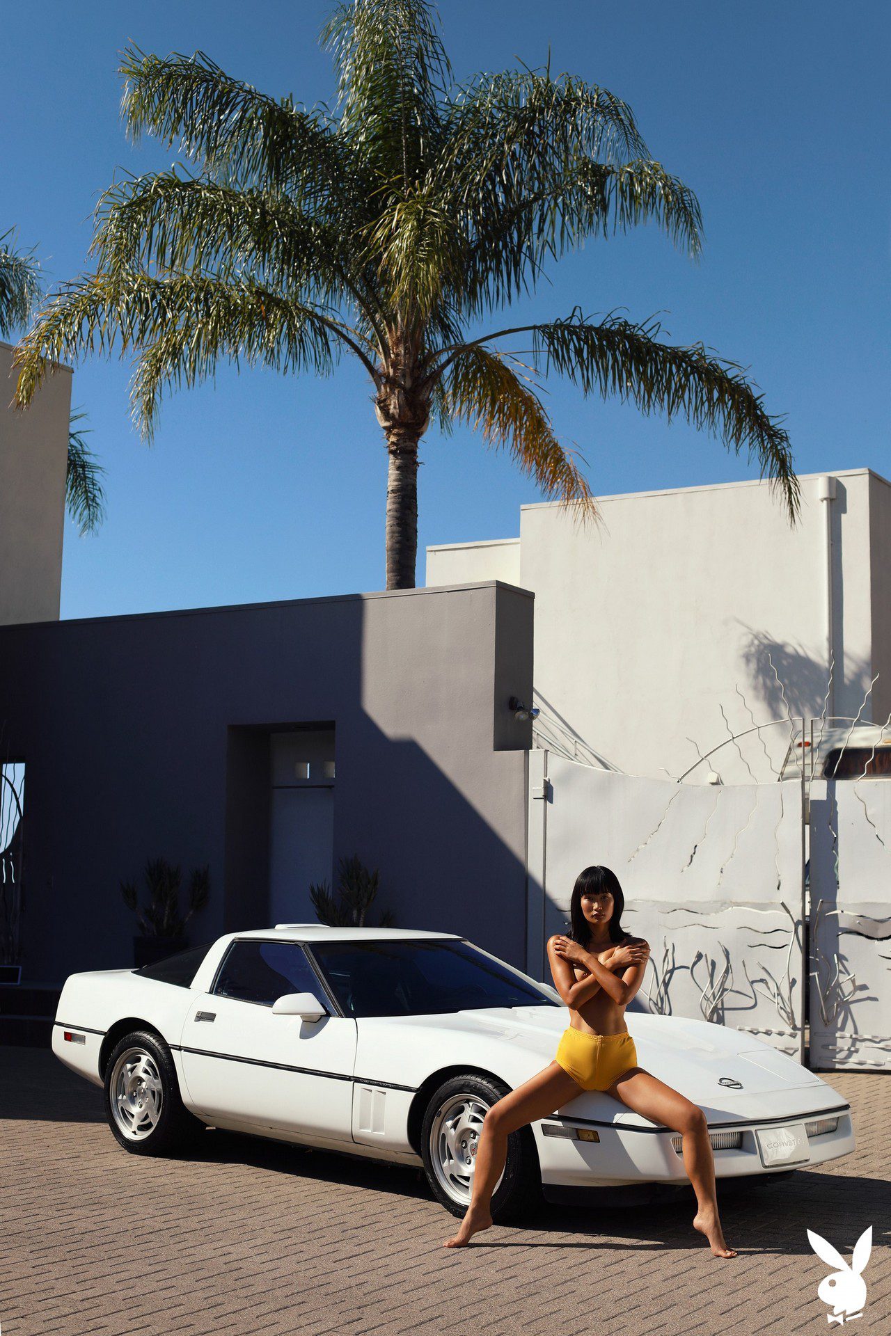 Playmate March 2019 Miki Hamano Playboy Plus (26)