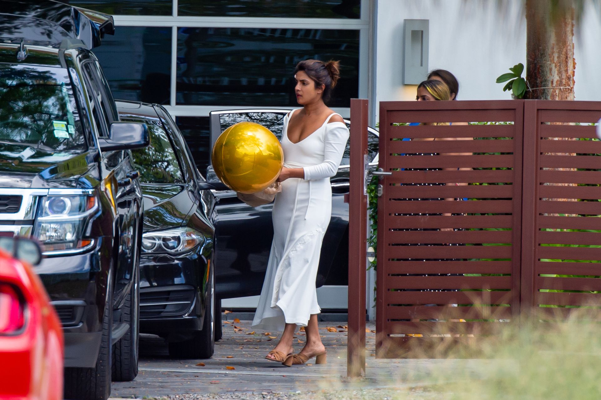 Priyanka Chopra Sexy 003