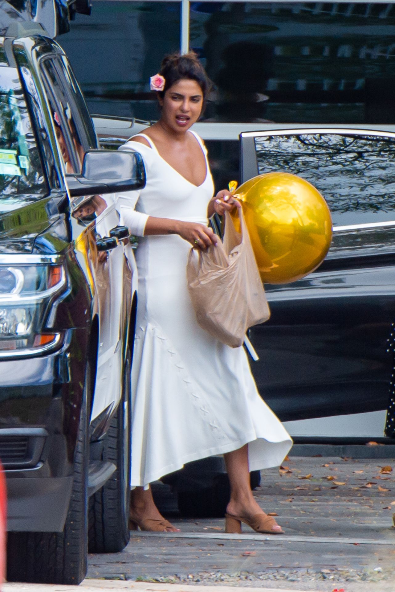 Priyanka Chopra Sexy 008