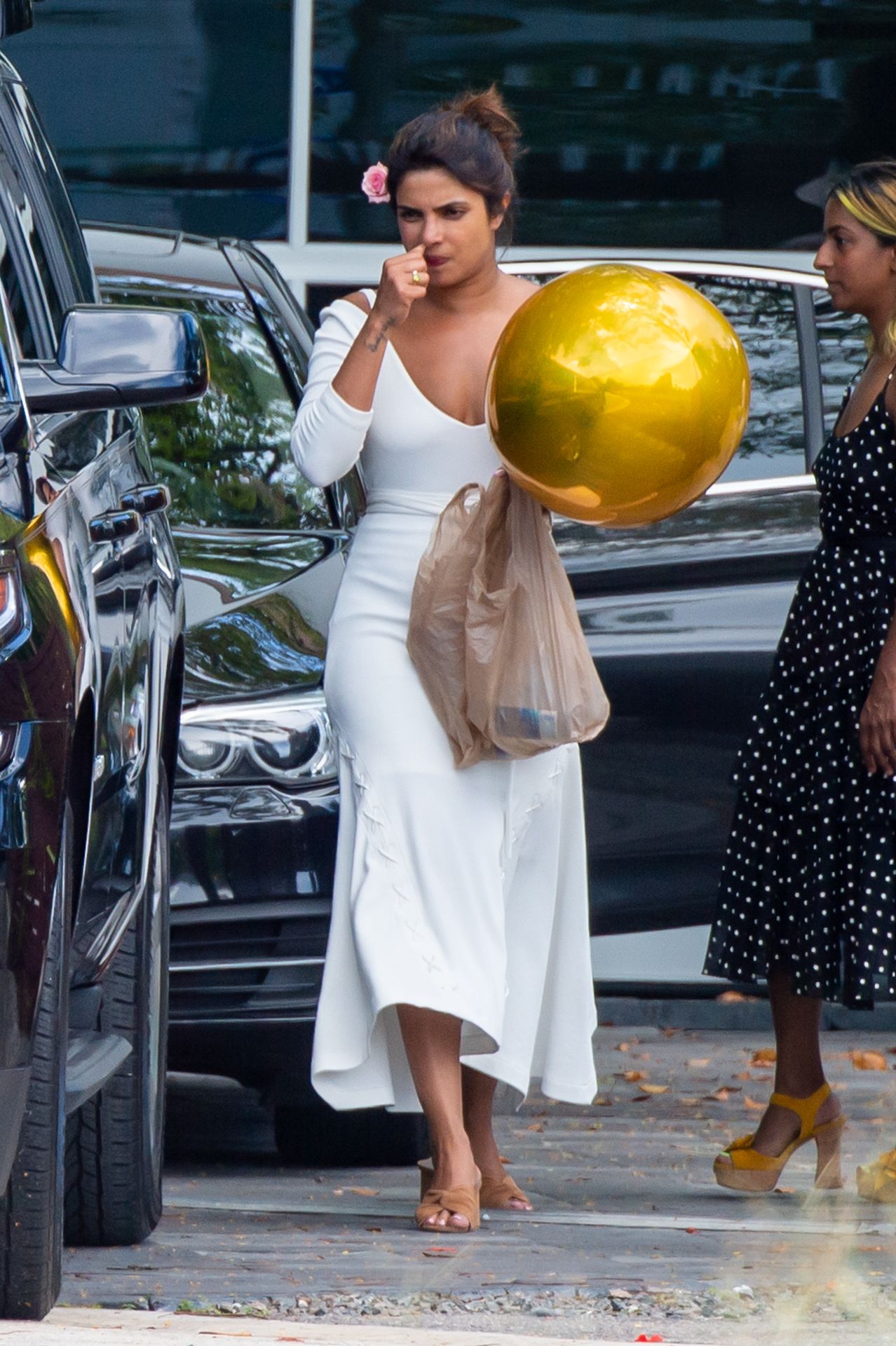 Priyanka Chopra Sexy 009