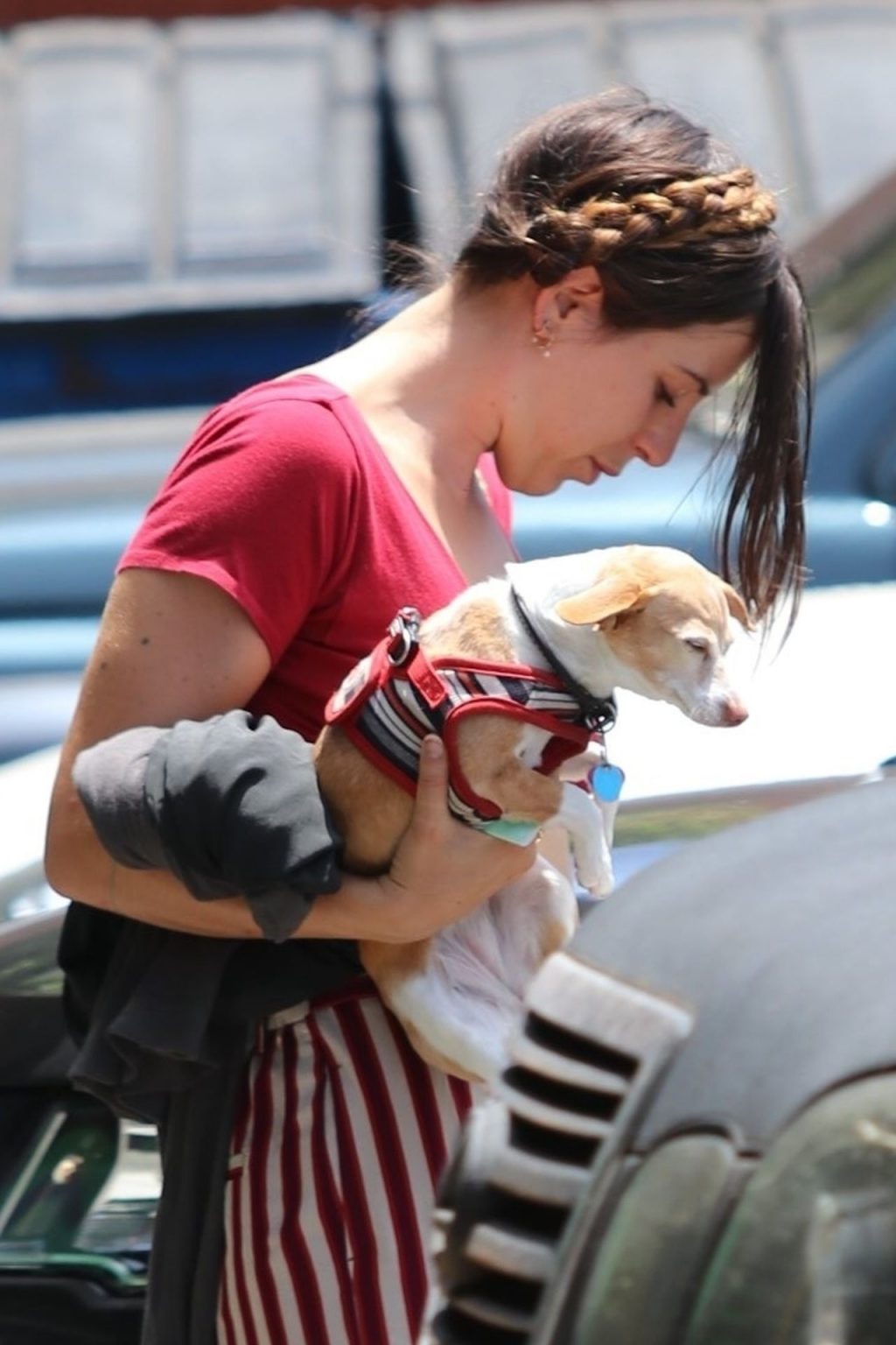 Scout Willis Sexy Thefappeningblog Com 11 1024x1536