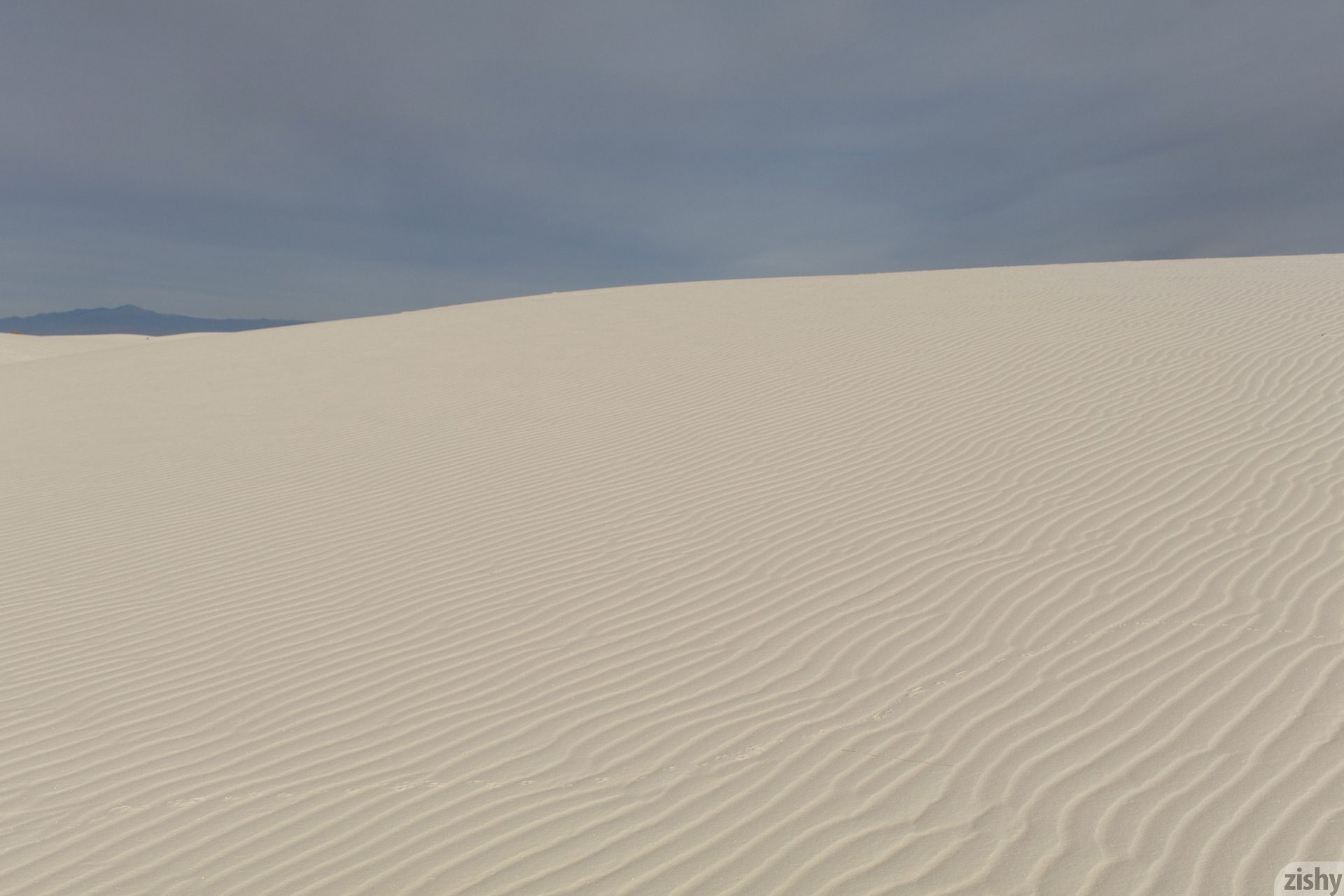 Alejandra Cobos White Sands I Zishy (2)