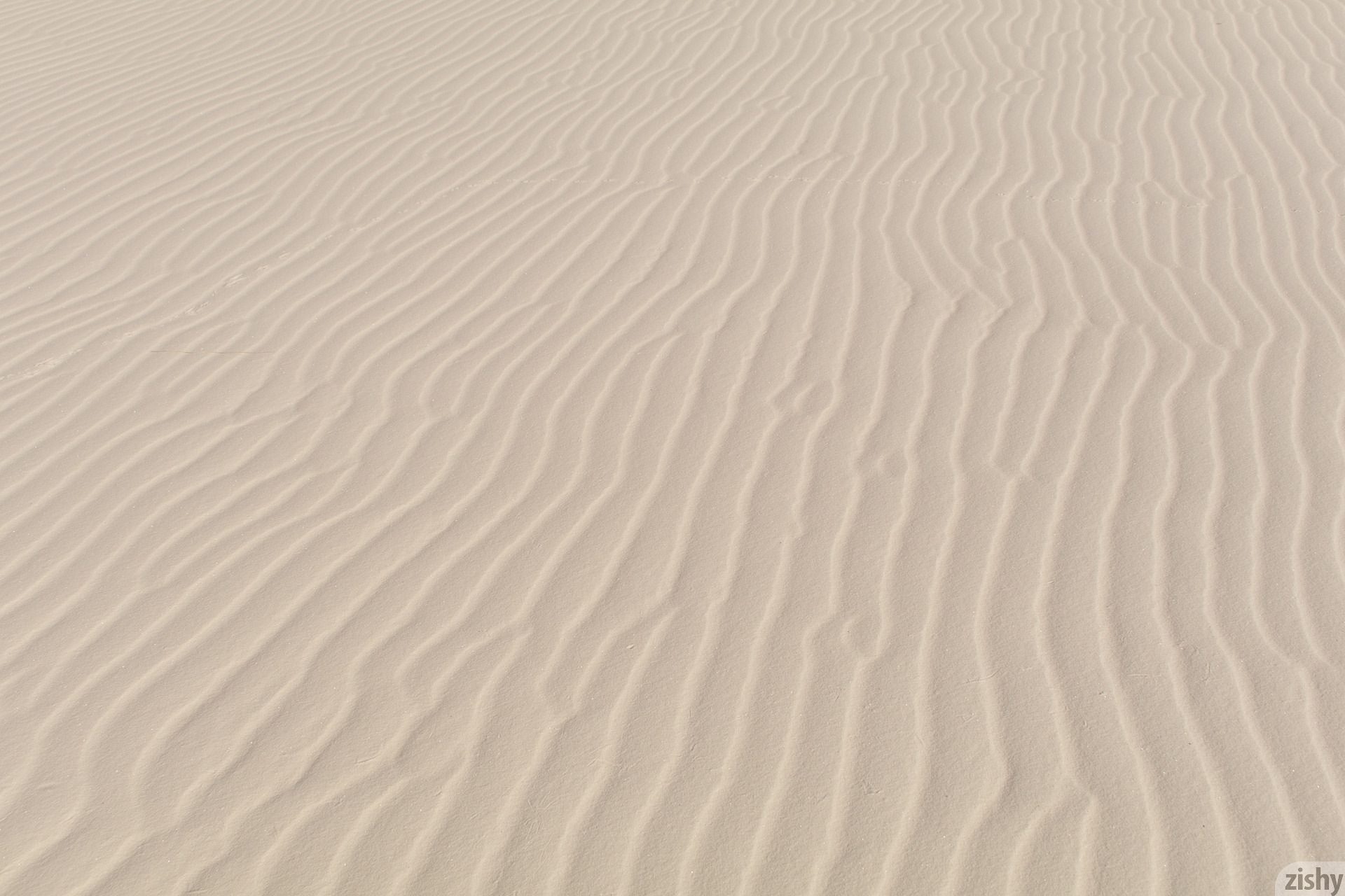 Alejandra Cobos White Sands I Zishy (3)