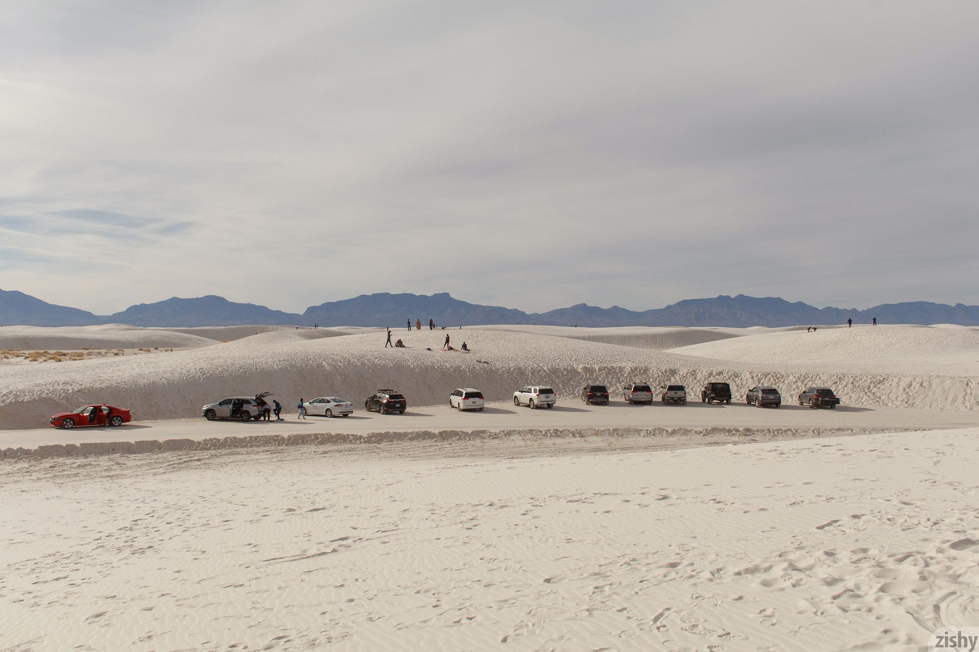 Alejandra Cobos White Sands I Zishy (1)
