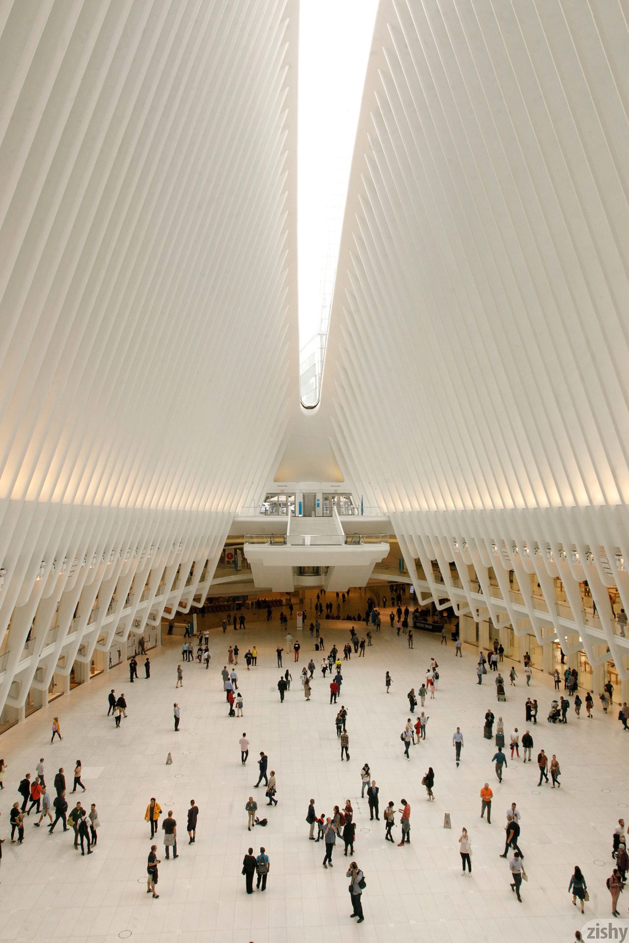 Barbie Qu Ground Nero Zishy (34)