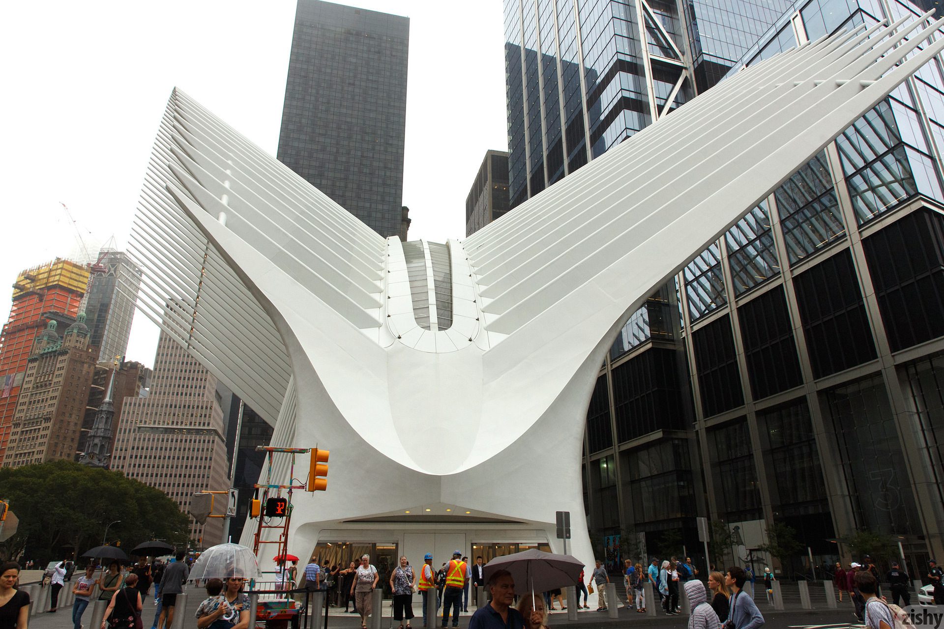 Barbie Qu Ground Nero Zishy (7)