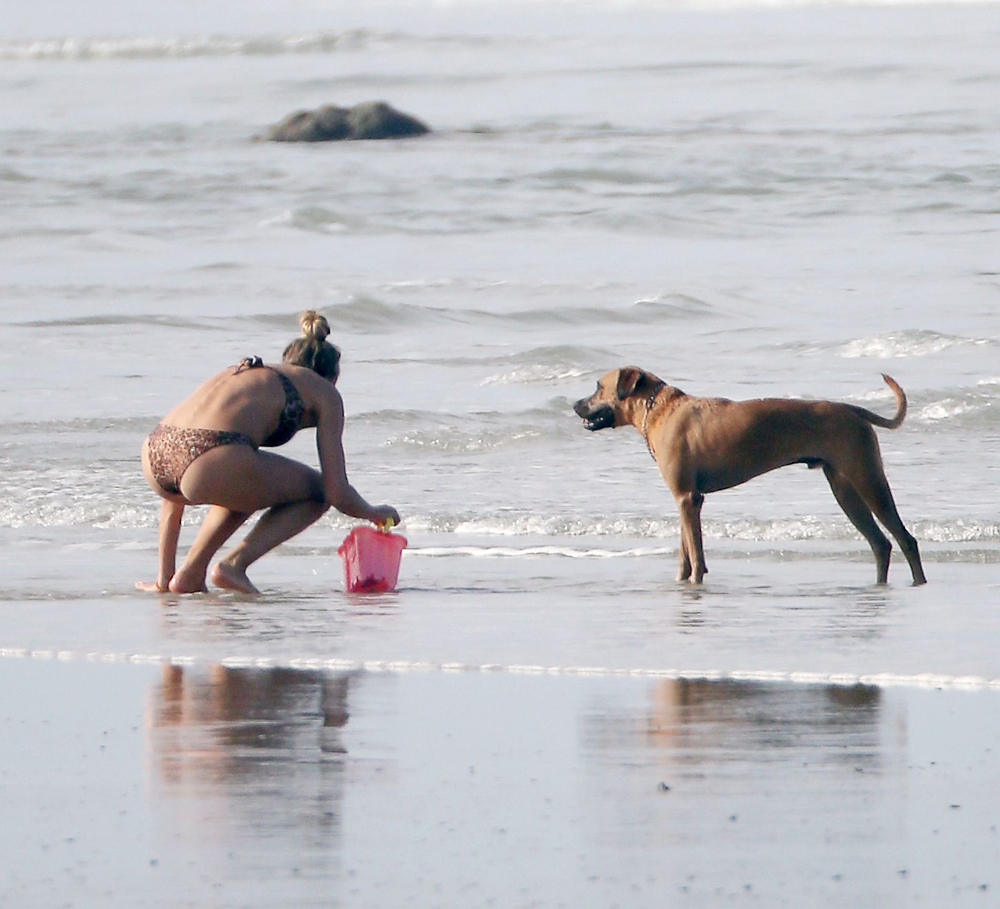 Gisele Bundchen Sexy 003