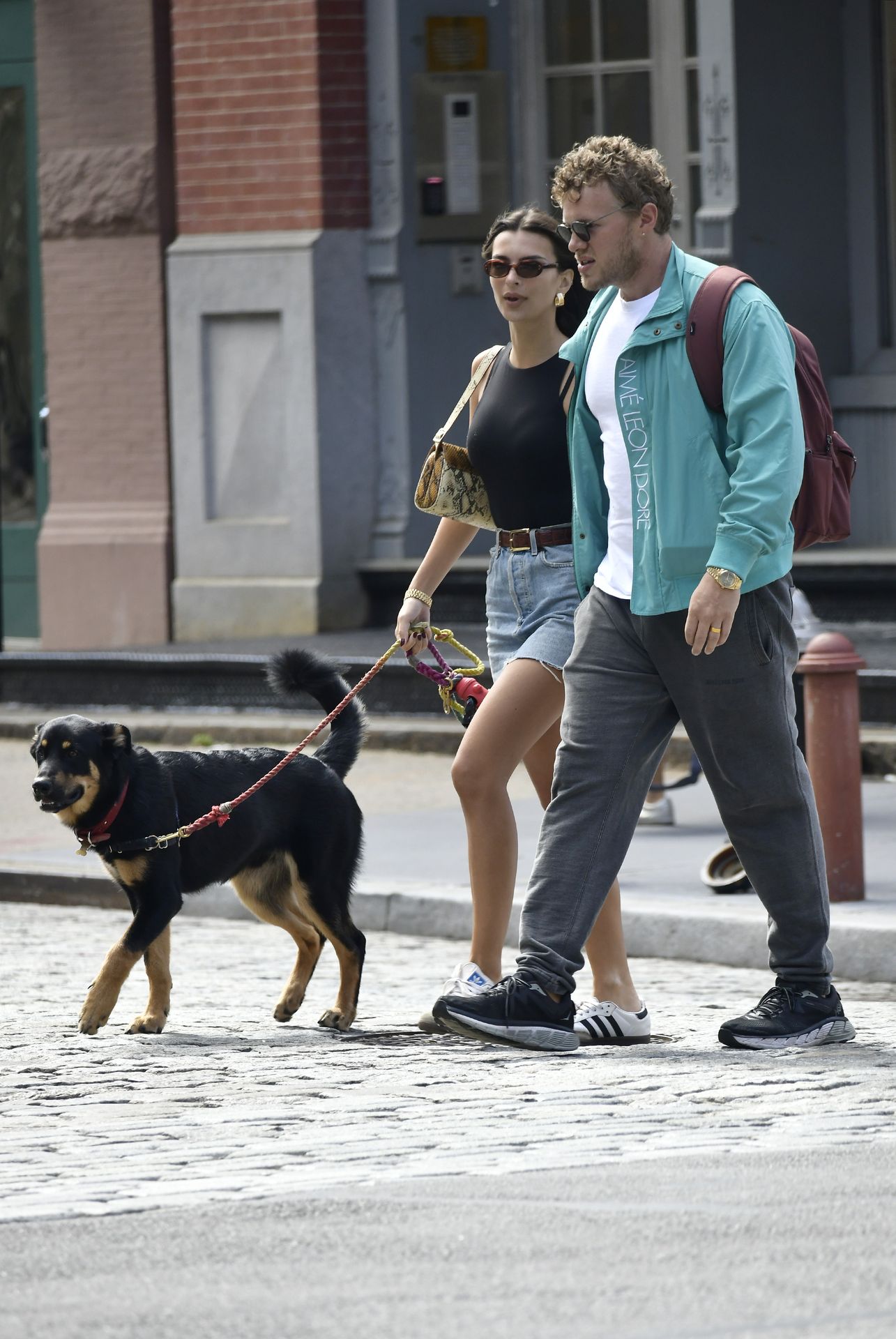 Emily Ratajkowski Sexy (31)