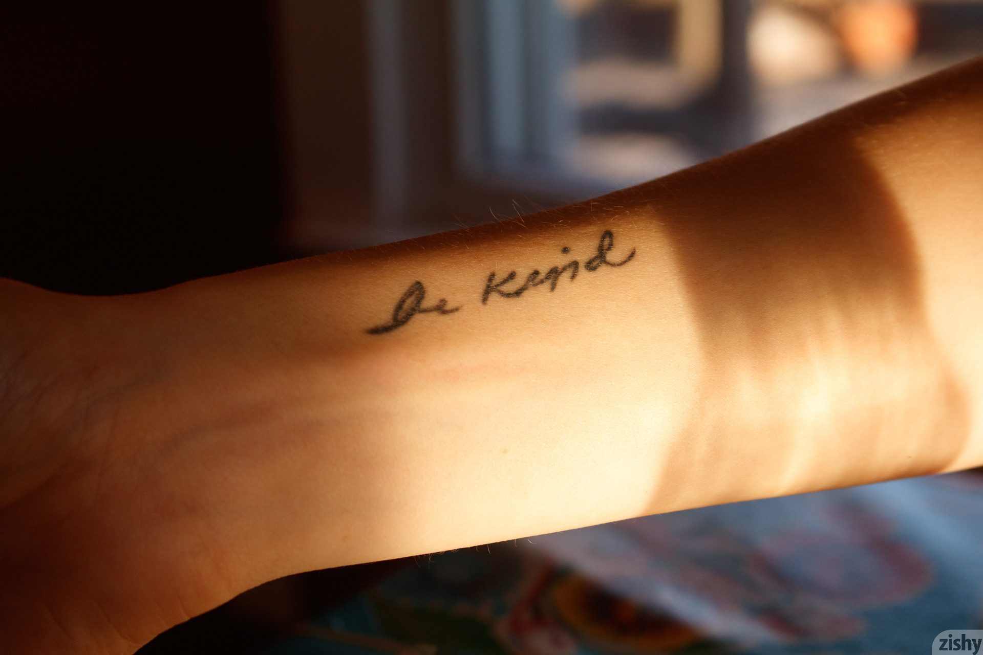 Helen Bergstrom Holy Guacamole Zishy (42)