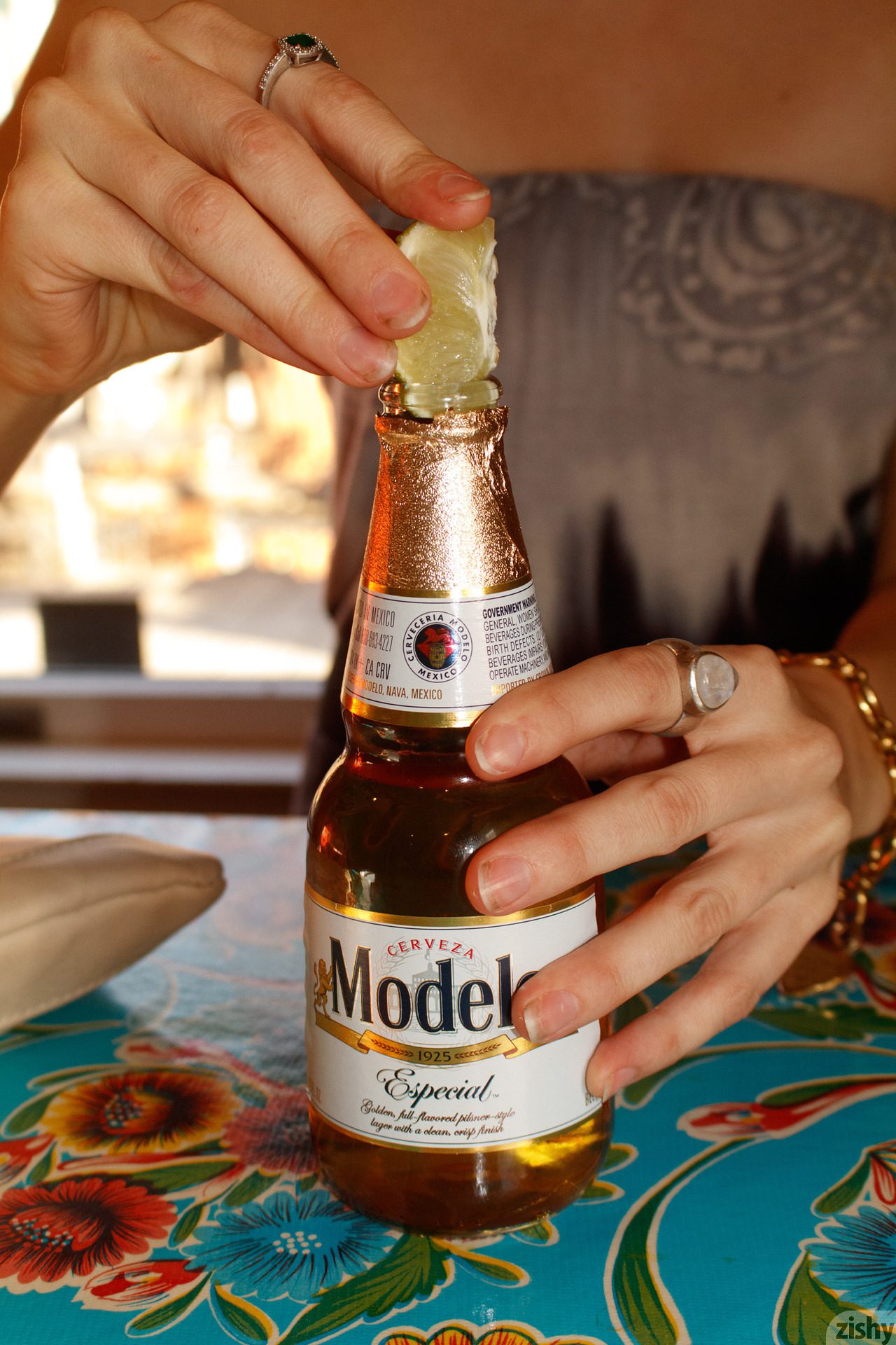 Helen Bergstrom Holy Guacamole Zishy (9)