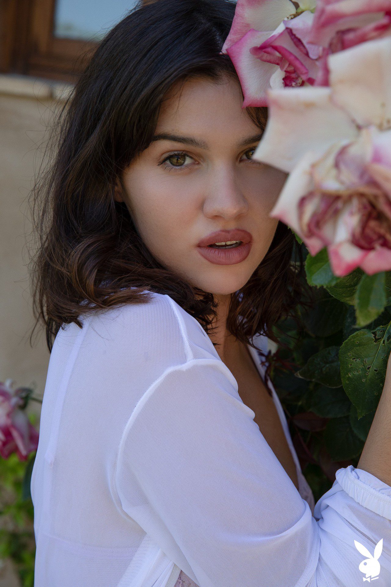 Laura Devushcat In Unmatched Elegance Playboy Plus (2)