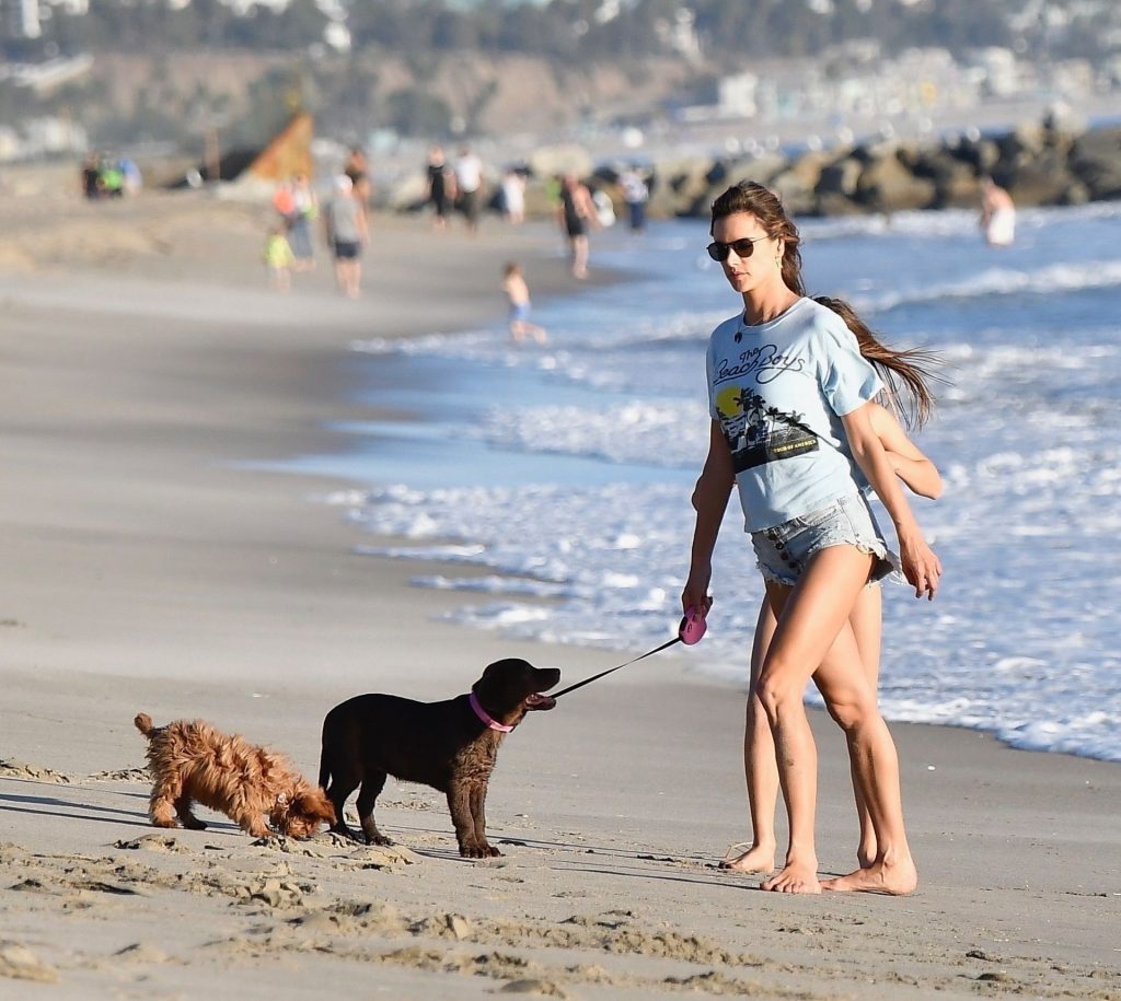 Alessandra Ambrosio Hot Thefappeningblog Com 105 1024x915