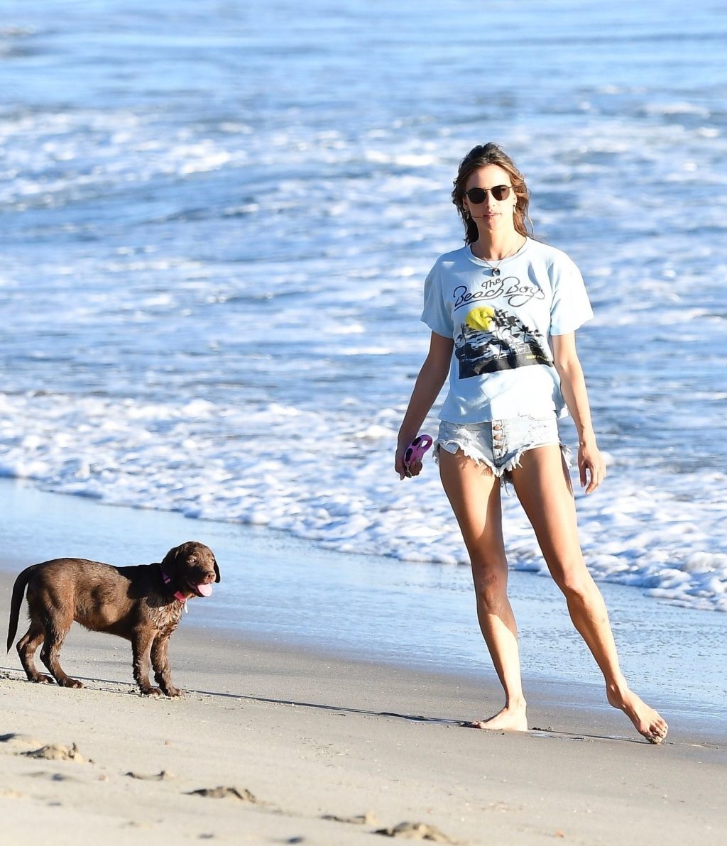 Alessandra Ambrosio Hot Thefappeningblog Com 99 1024x1192