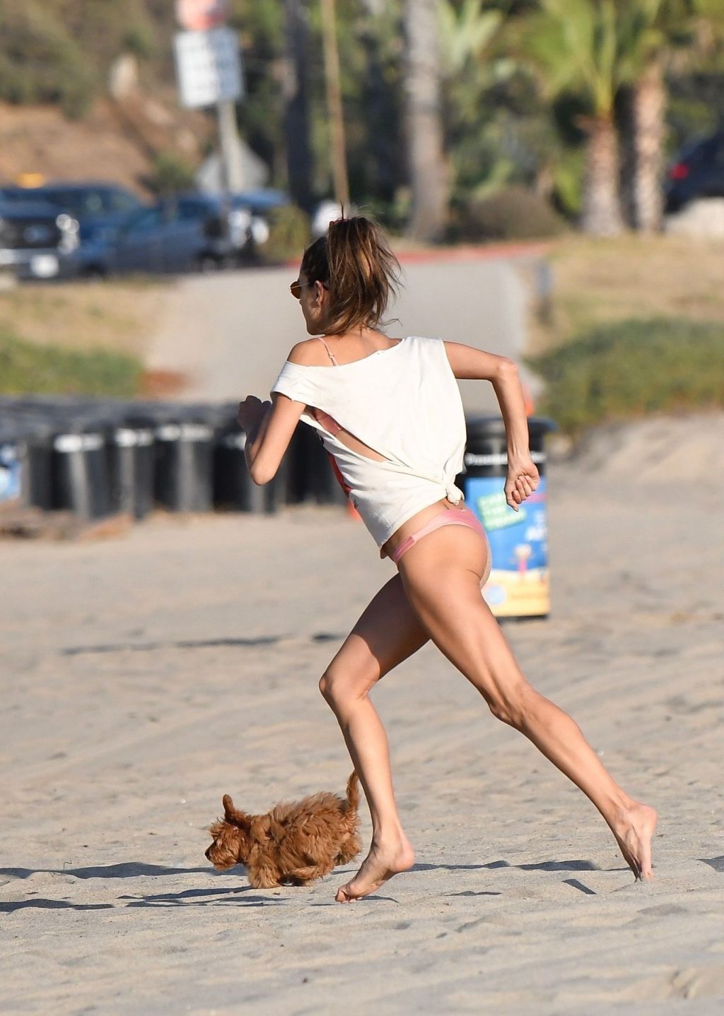 Alessandra Ambrosio Sexy Thefappeningblog Com 53 1024x1438