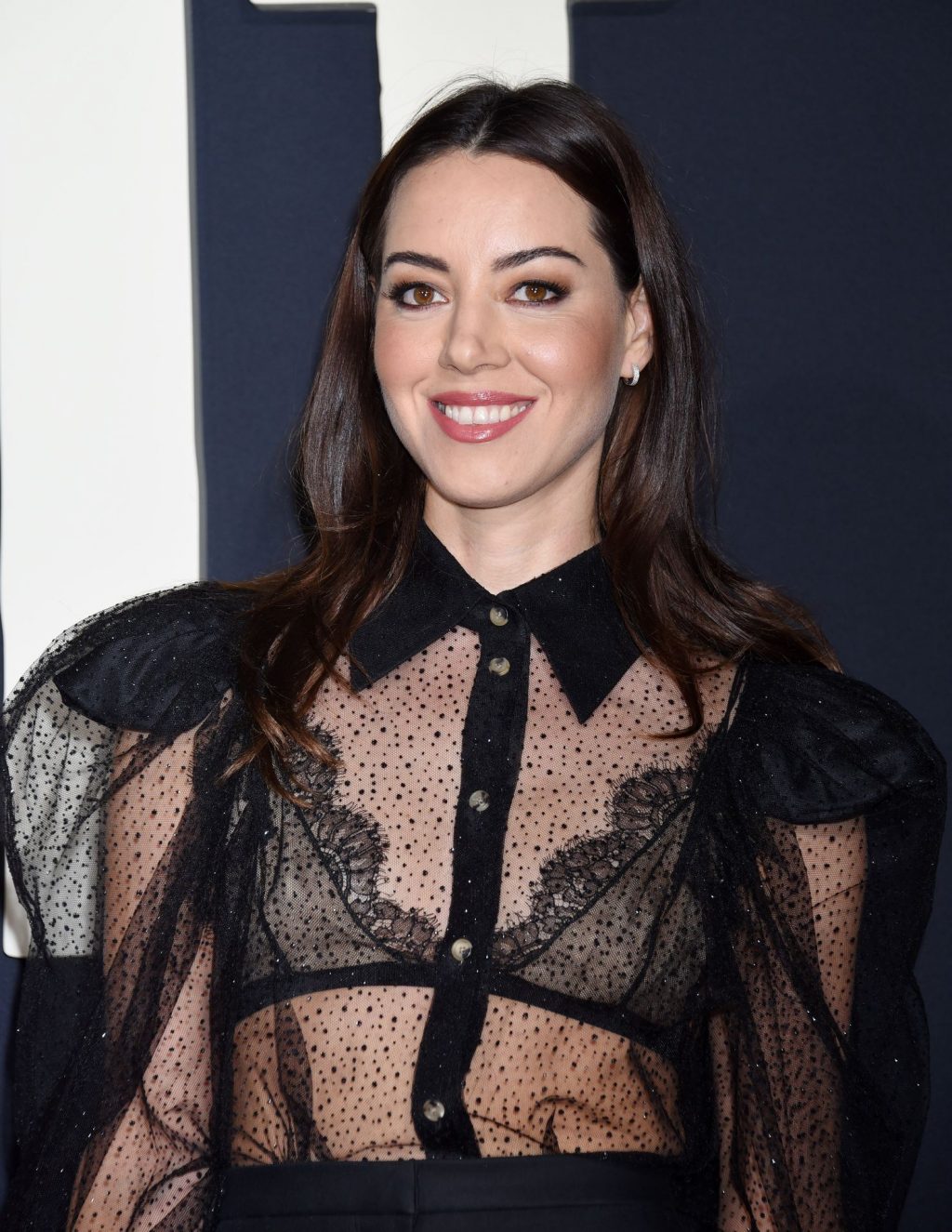 Aubrey Plaza Sexy Thefappeningblog Com 14 1024x1325