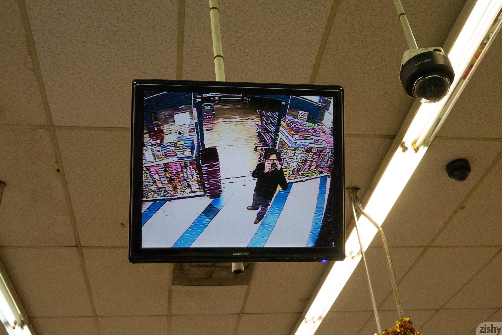 Ashlee Hills, Kim Solari, Mazzy Plimpton, Zishy (52)