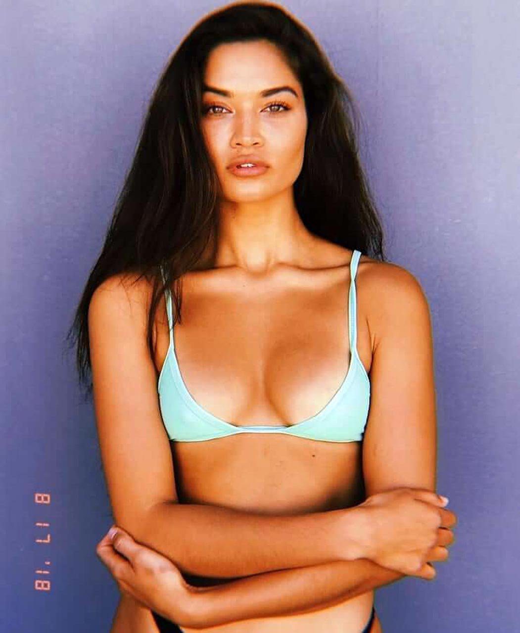 Shanina Shaik Nude & Sexy Collection 0081