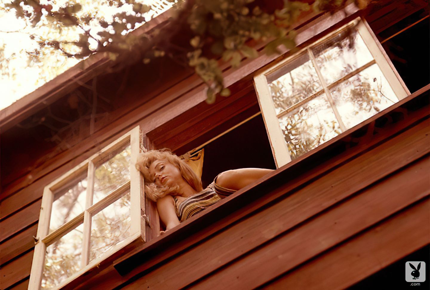 Yvette Vickers Nude 0012