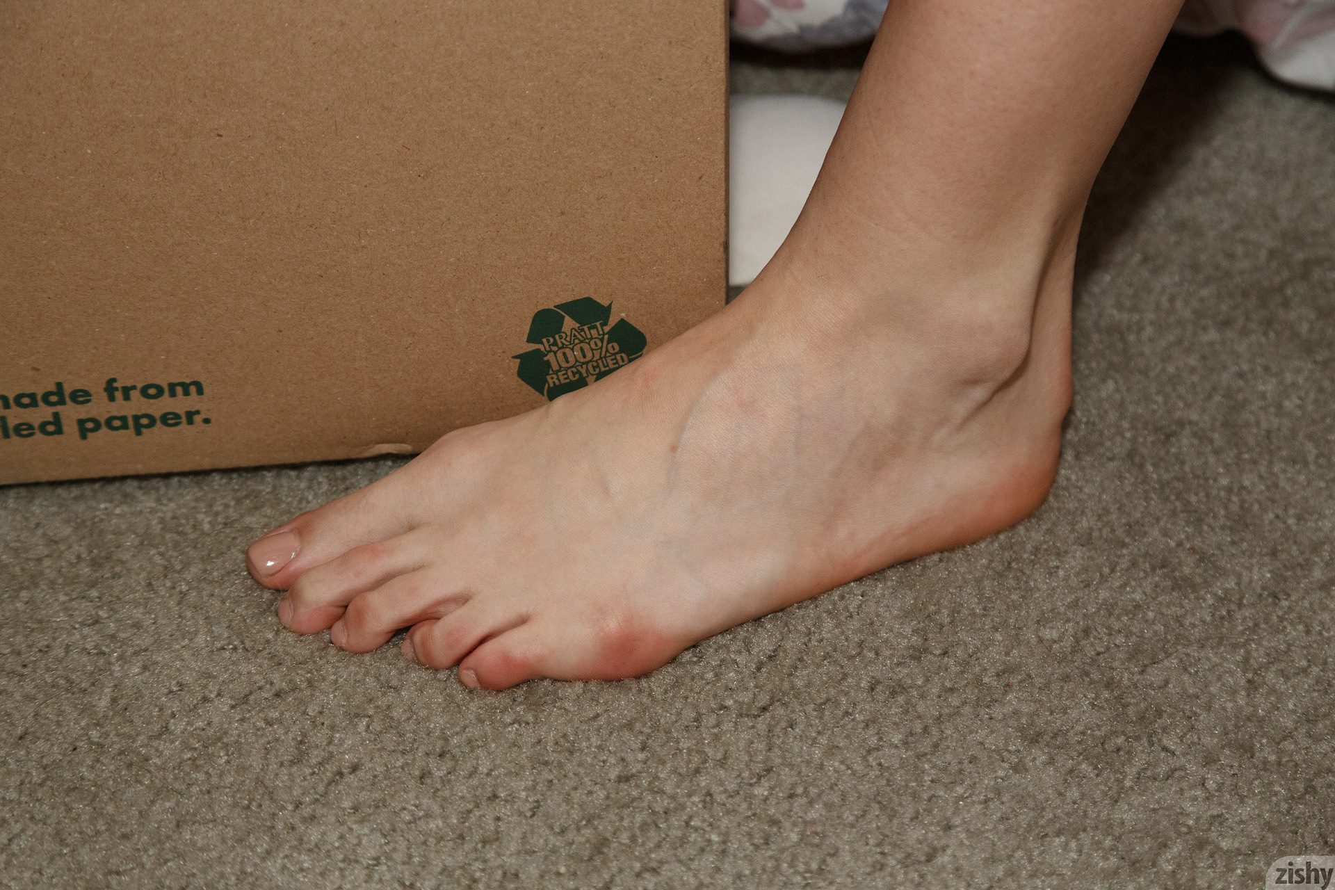 Ivah Anseline Queen Of Lbc 1 Zishy (59)