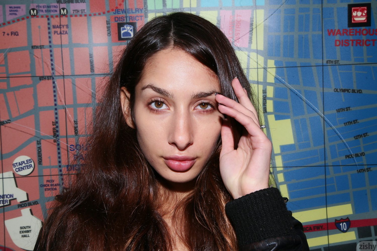 Sarah Lynch Vestibulum Oris Zishy (1)