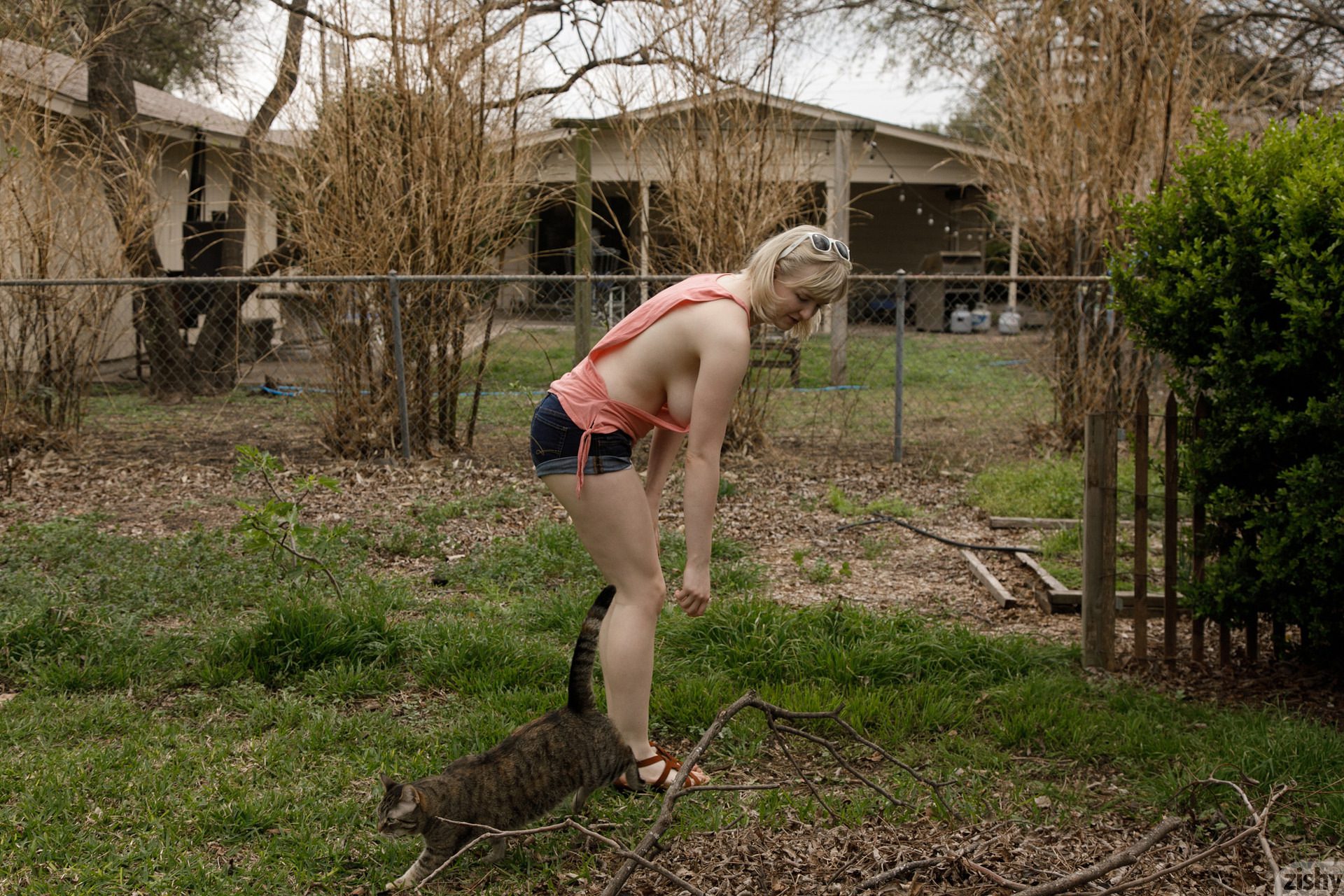 Vicky Chandler Cats Are Shy Zishy (1)