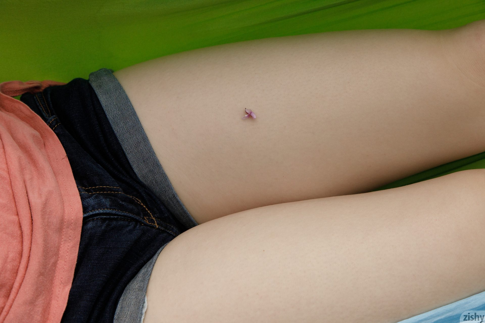 Vicky Chandler Cats Are Shy Zishy (12)