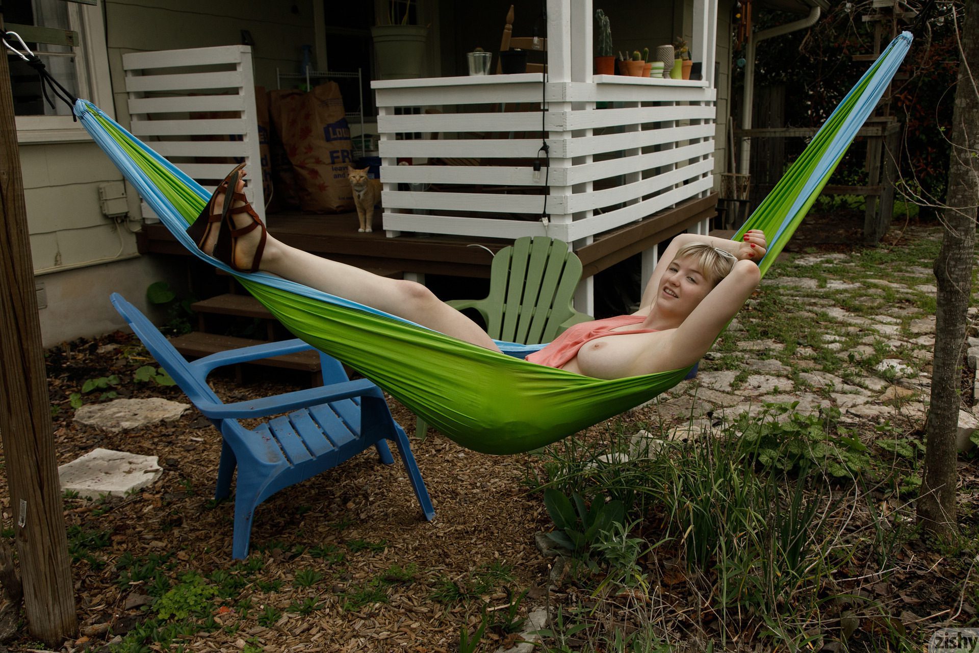 Vicky Chandler Cats Are Shy Zishy (18)