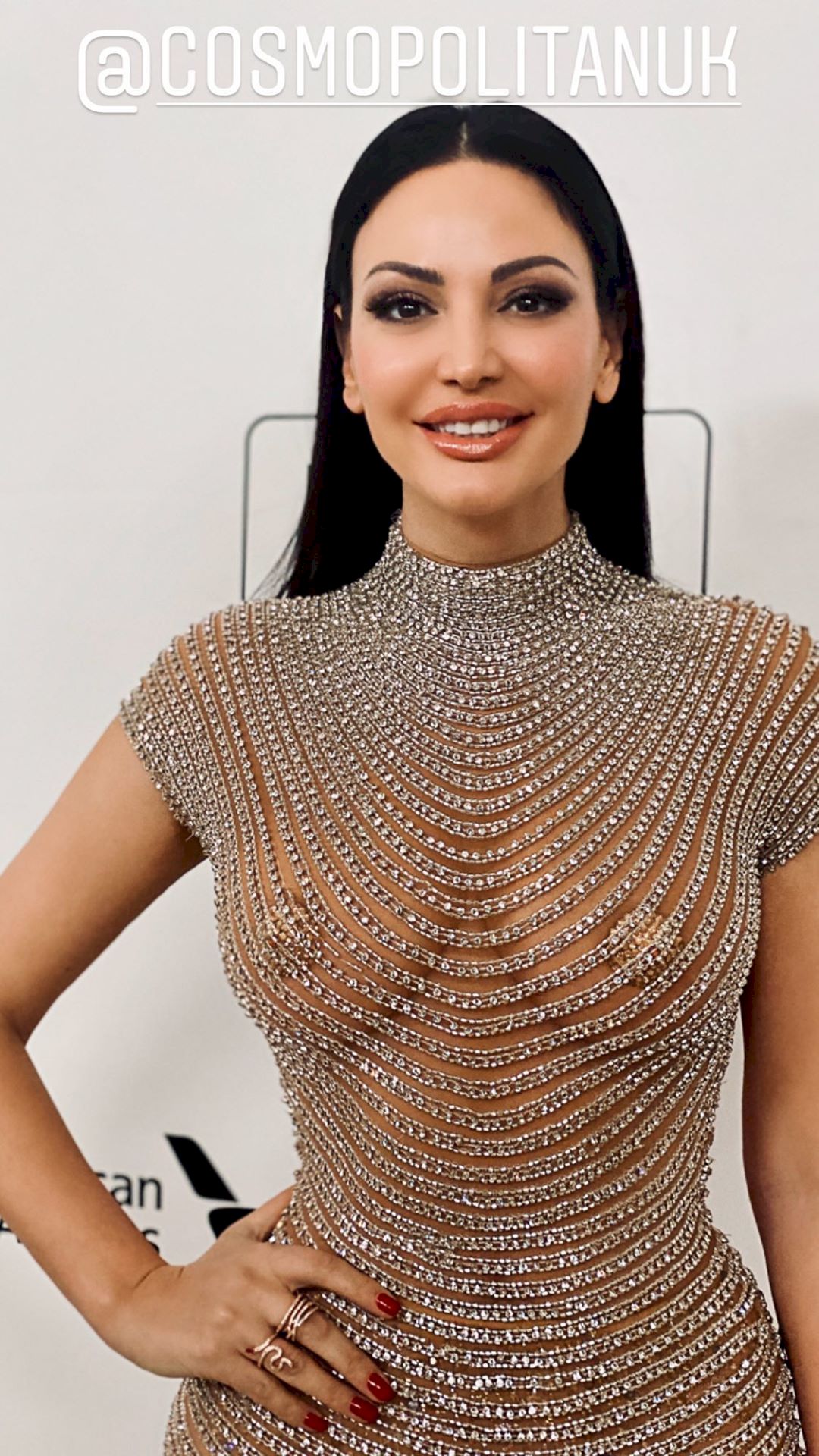 Bleona Qereti Shows Her Tits At The Elton John Aids Foundation Academy Awards Party 0001